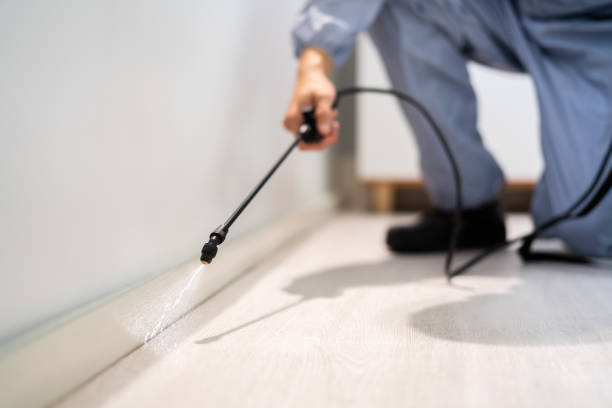 Licensed Fumigation Services service in Clarendon, TX - Nex Pest Control