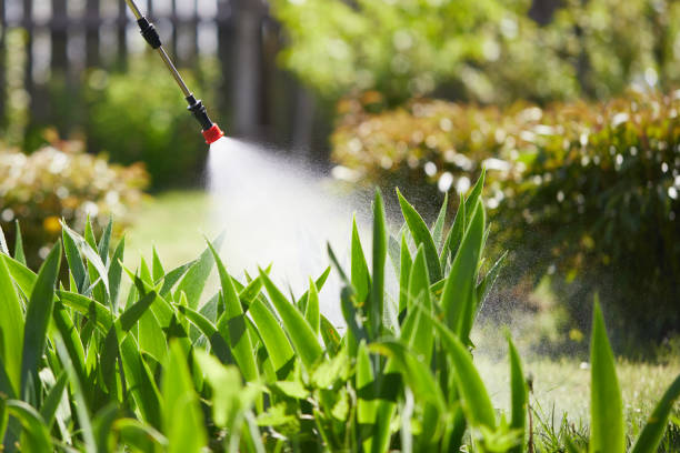 24/7 Emergency Fumigation Services experts in Clarendon, TX