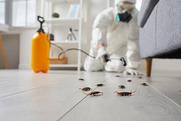 Trusted Rodent Control service in Clarendon, TX - Nex Pest Control