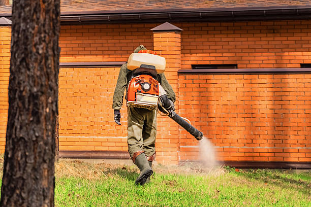 Trusted Ant Control service in Clarendon, TX - Nex Pest Control